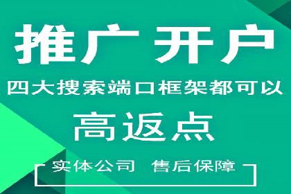 搜索开户返点案例解析：揭秘赚钱秘诀